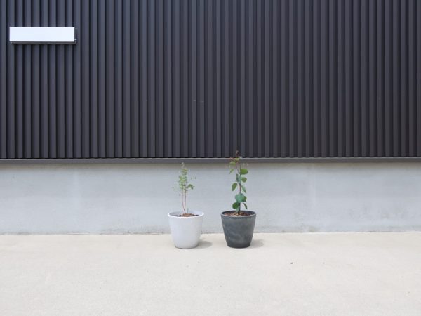 玄関ポーチ ユーカリ