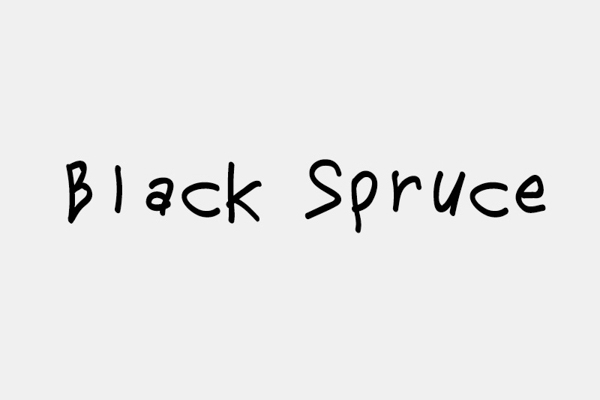 aroma-eyecatch-blackspruce