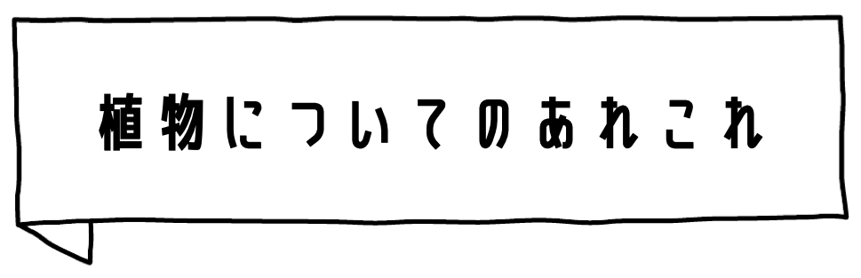 植物・ガーニングについてのコラム